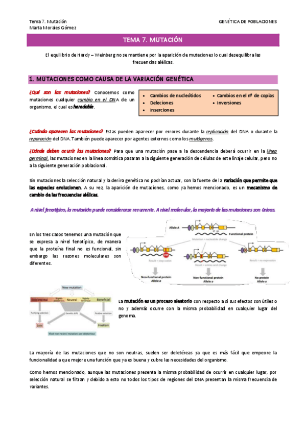 Miniatura del documento Tema-7.-Mutacion.pdf