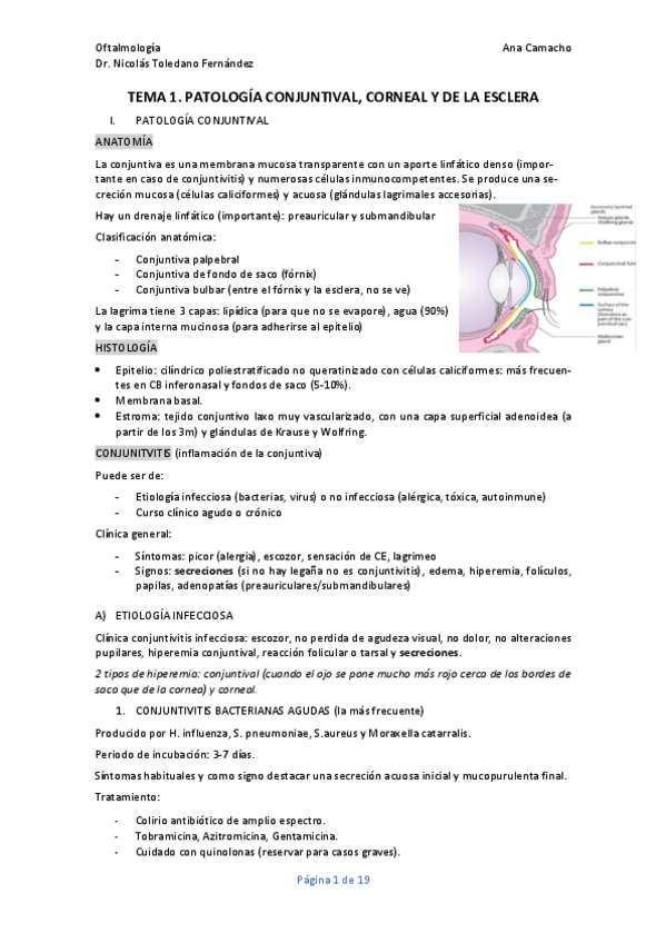 Miniatura del documento TEMA-1.-Patologia-conjuntiva-cornea-y-esclera.pdf
