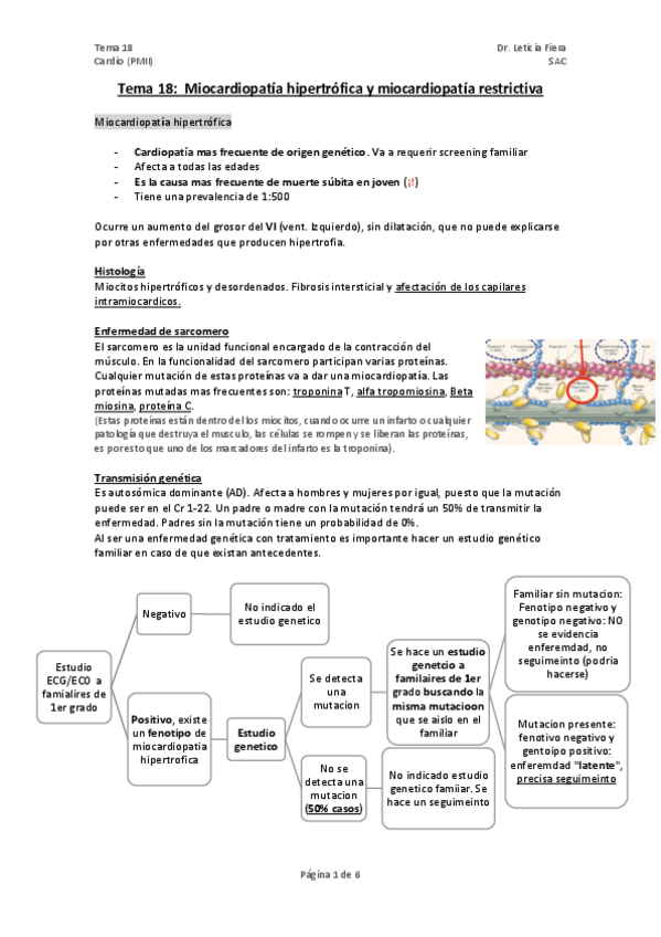Miniatura del documento TEMA-18-M-hipertrofica-y-restrictiva.pdf