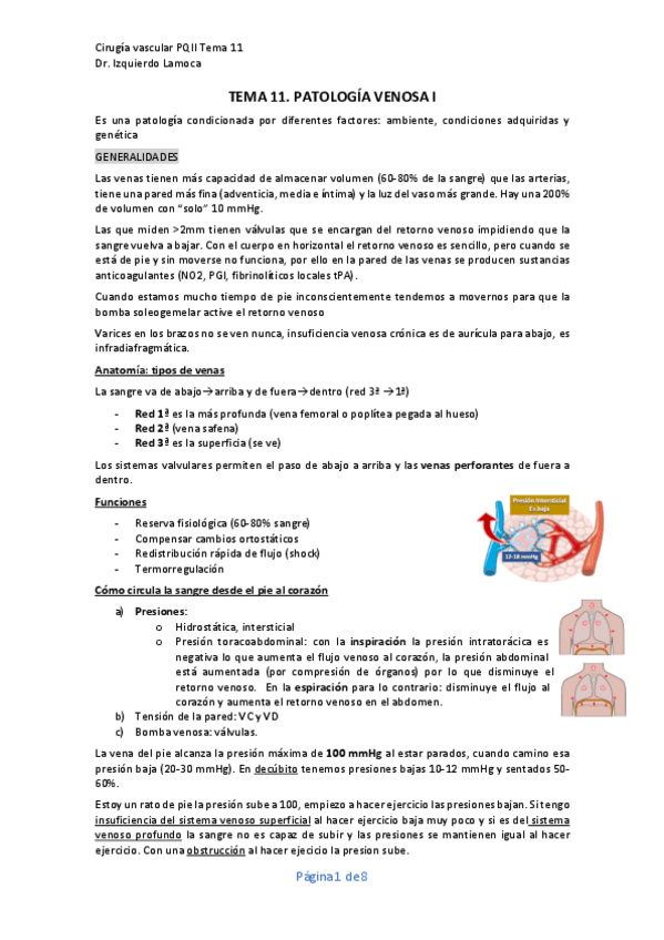 Miniatura del documento Tema-11.-PATOLOGIA-VENOSA-I.pdf