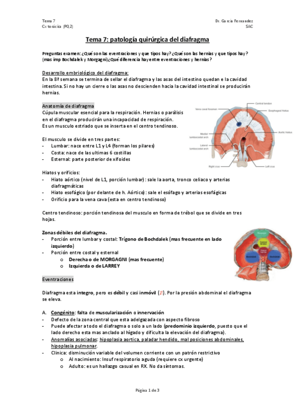 Miniatura del documento TEMA-7-Patologia-quirujica-del-diafragma.pdf