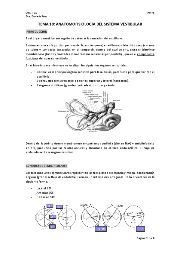 Miniatura del documento TEMA-10-orl.pdf