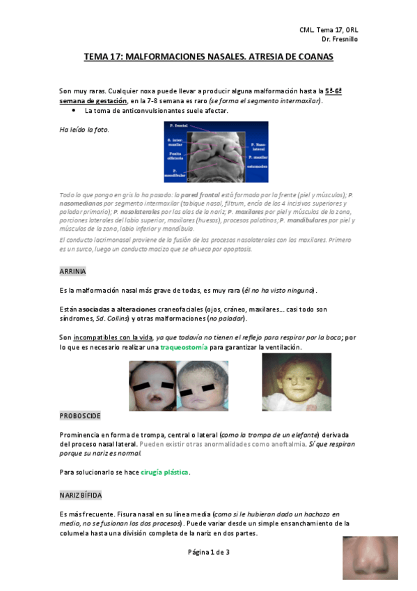 Miniatura del documento tema-17-ORL.pdf