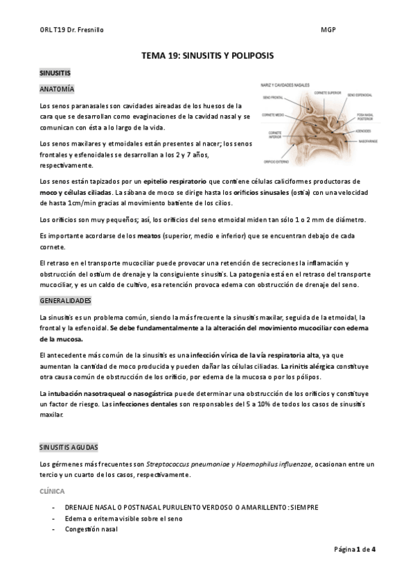 Miniatura del documento TEMA-19.pdf