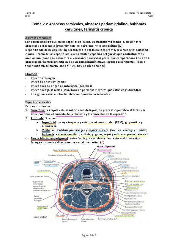Miniatura del documento TEMA-23-abscesos-masas-y-faringitis-cronica.pdf