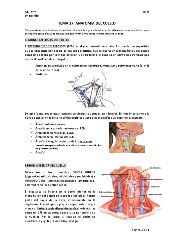 Miniatura del documento TEMA-27-orl.pdf