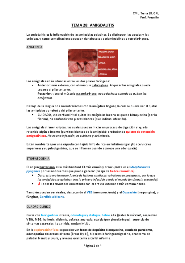 Miniatura del documento tema-28-orl.pdf