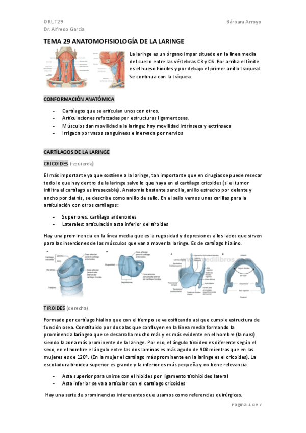 Miniatura del documento TEMA-29-ORL.pdf