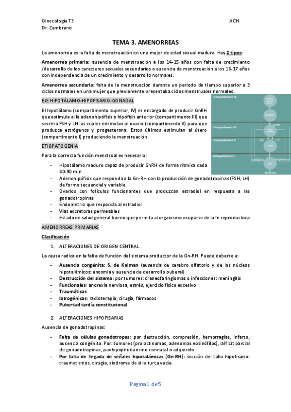 Miniatura del documento TEMA-3.-AMENORREAS.pdf
