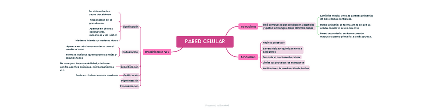Miniatura del documento PARED-CELULAR-esquema.pdf