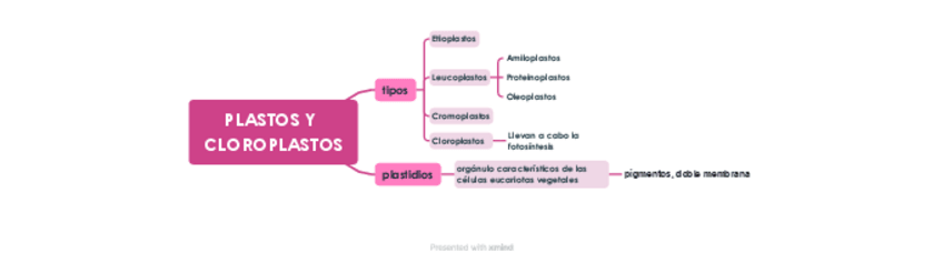 Miniatura del documento PLASTOS-Y-CLOROPLASTOS-esquema.pdf