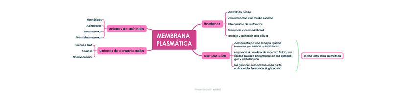 Miniatura del documento MEMBRANA-PLASMATICA-esquema.pdf