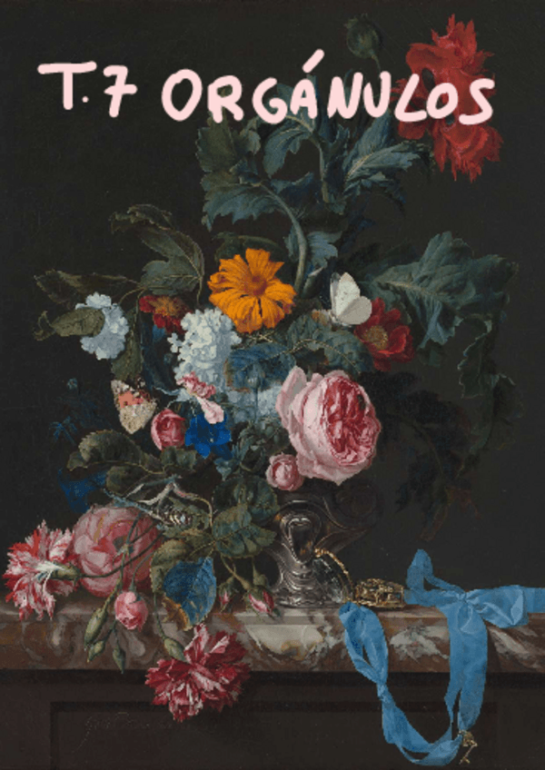 Miniatura del documento T7organulos.pdf