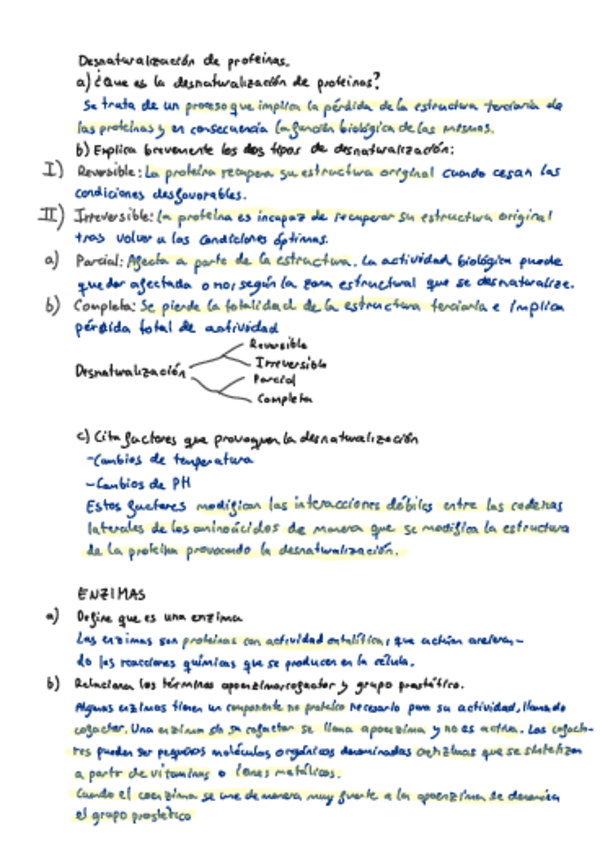 Miniatura del documento t4-proteinas.pdf