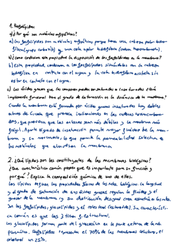 Miniatura del documento t3-lipidos.pdf