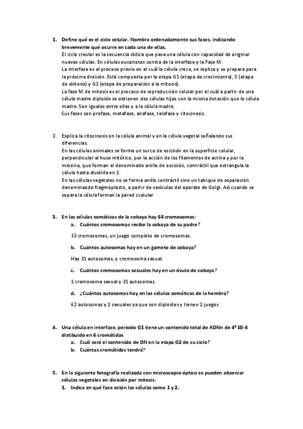 Miniatura del documento Revision-de-Mitosis-meiosis.pdf