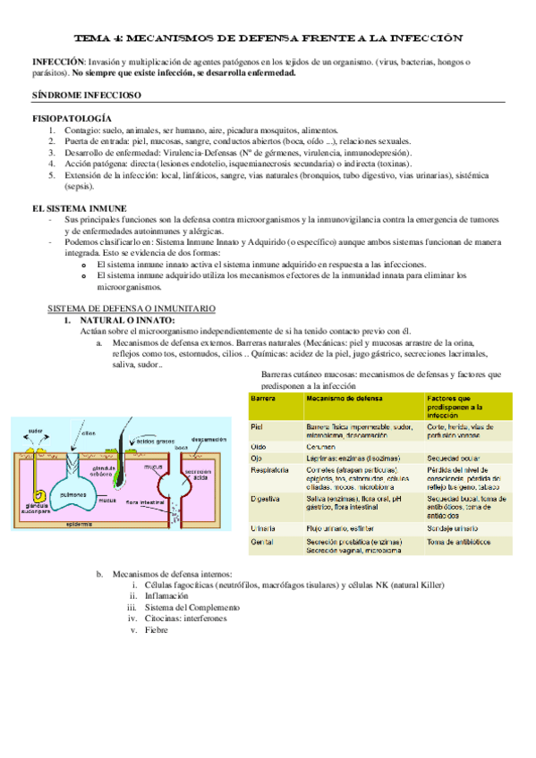 Miniatura del documento TEMA-4.pdf