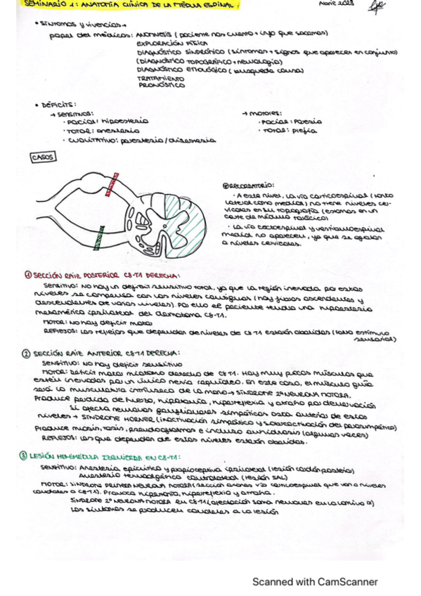 Miniatura del documento seminarios-neuro.pdf