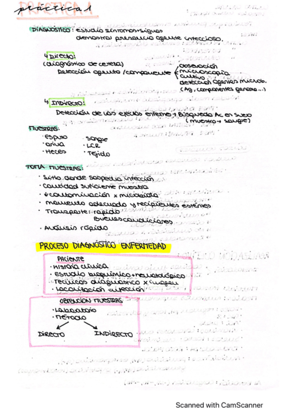 Miniatura del documento resumen-P1.pdf