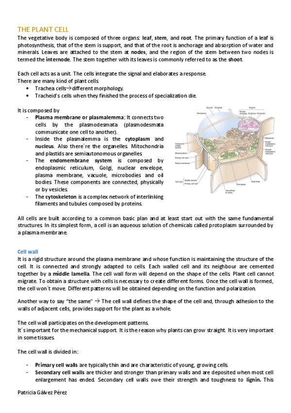 Miniatura del documento T 1 - The plant cell.pdf