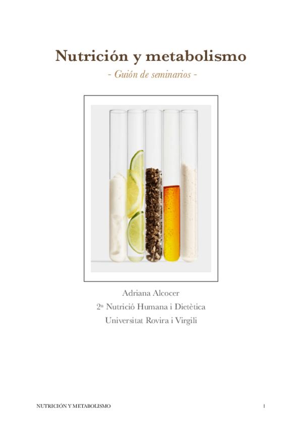 Miniatura del documento Guio-de-Seminaris-NHiM.pdf