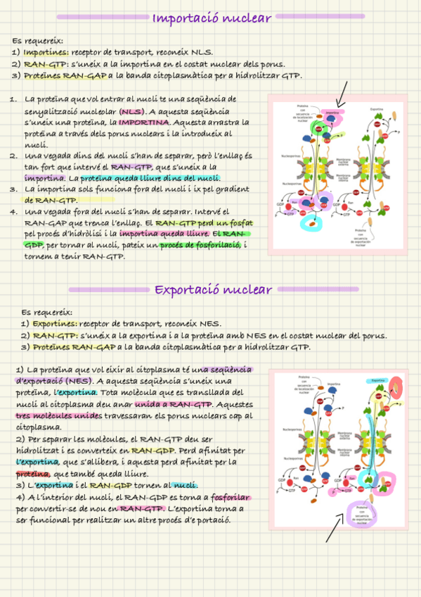 Miniatura del documento Importacion-Nuclear.pdf