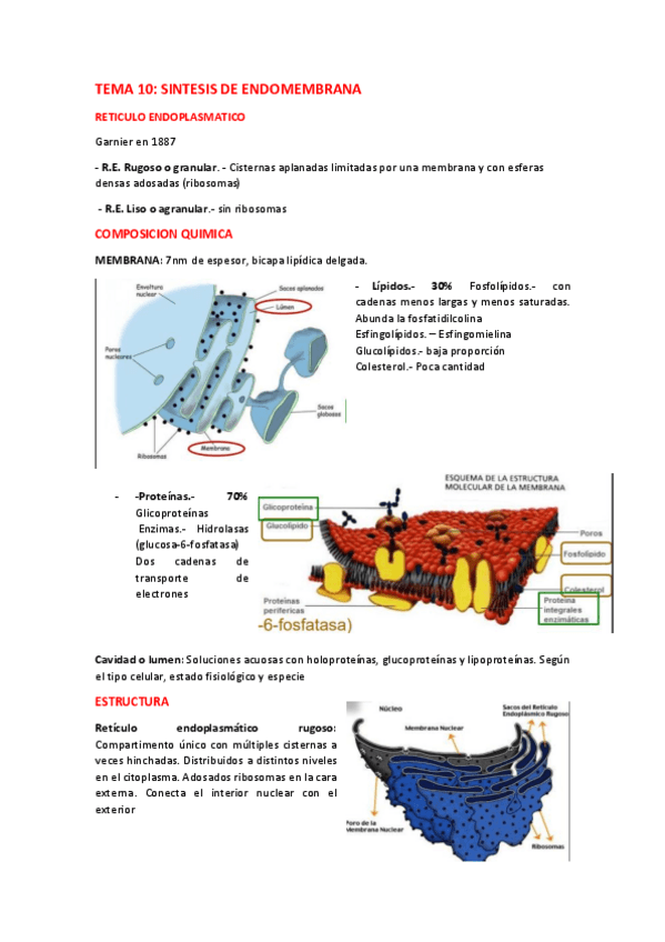 Miniatura del documento TEMA-10-SINTESIS-DE-ENDOMEMBRANA.pdf