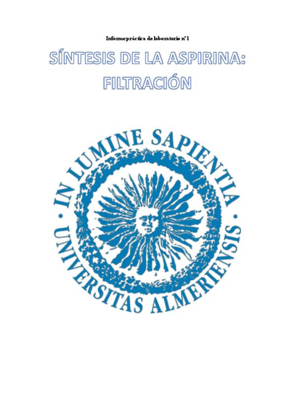 Miniatura del documento P1-ORGANICA.pdf