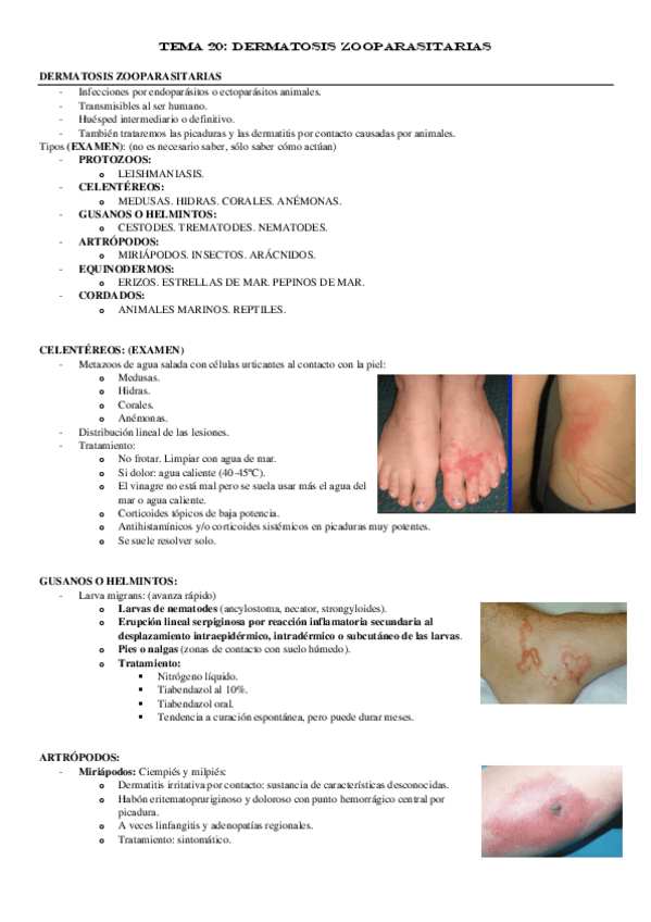 Miniatura del documento TEMA-20.pdf