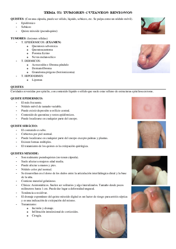 Miniatura del documento TEMA-25.pdf