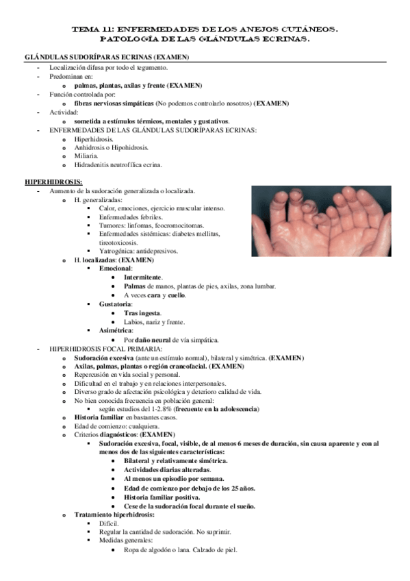 Miniatura del documento TEMA-11.pdf