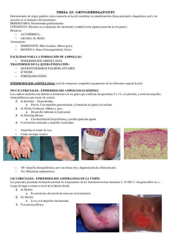 Miniatura del documento TEMA-12.pdf