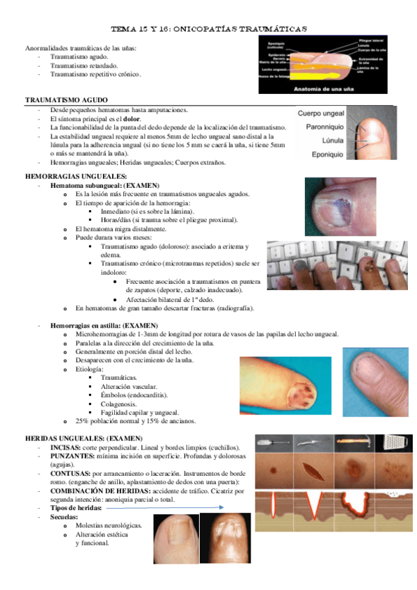 Miniatura del documento TEMA-15-y-16.pdf