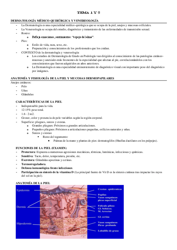 Miniatura del documento TEMA-1-Y-2.pdf