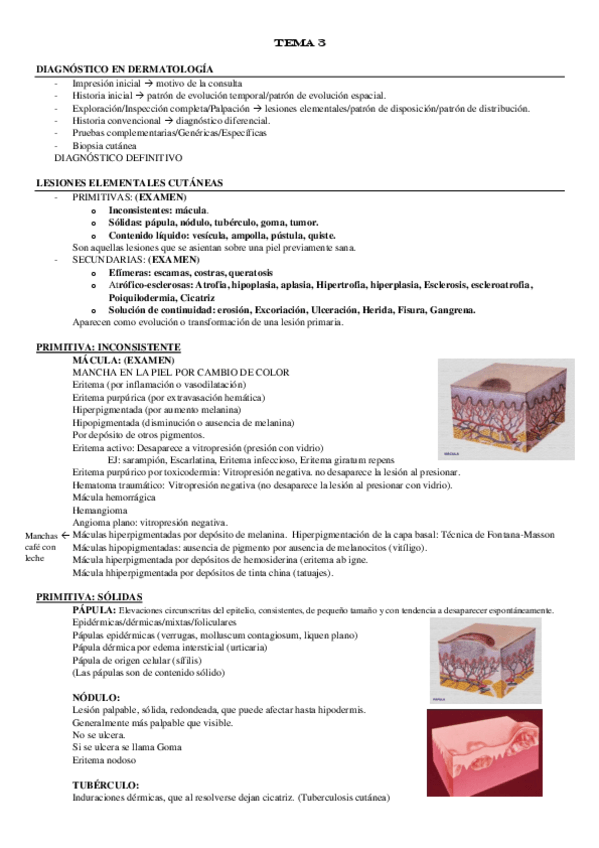 Miniatura del documento TEMA-3-derma.pdf