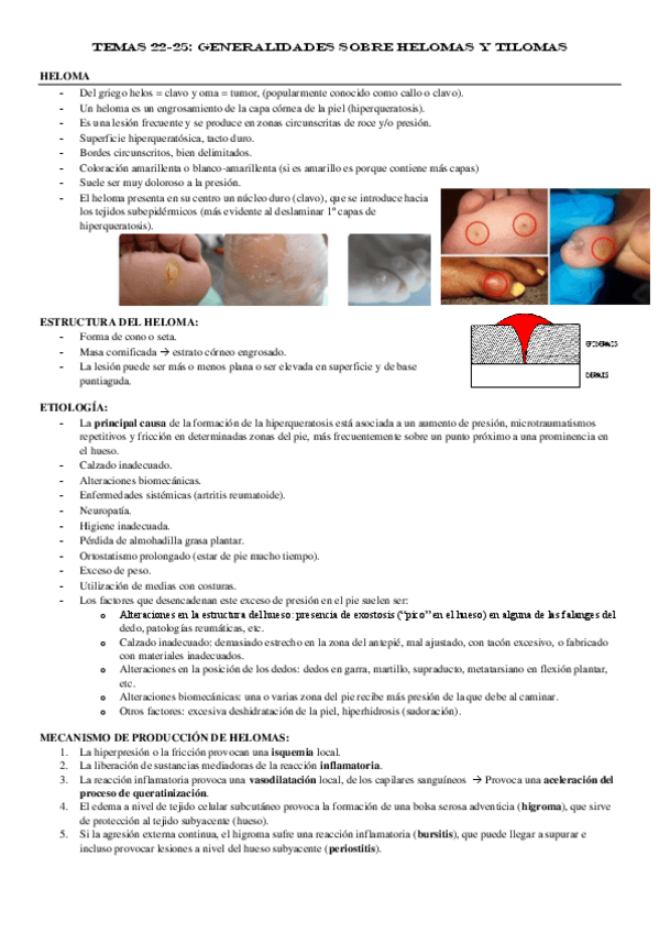 Miniatura del documento Temas-22-25.pdf