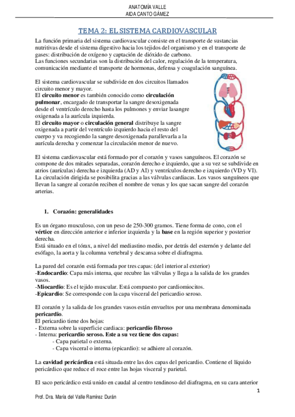 Miniatura del documento CARDIOVASCULAR-VALLE.pdf
