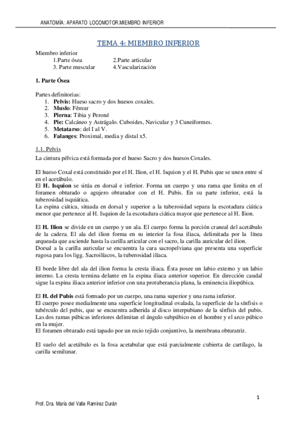 Miniatura del documento MIEMBRO-INFERIOR-VALLE.pdf