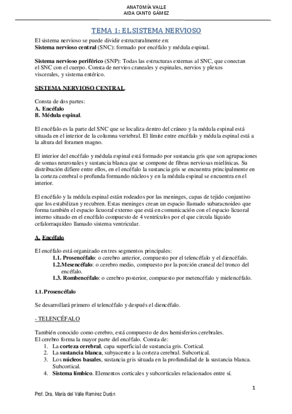 Miniatura del documento SN-VALLE.pdf