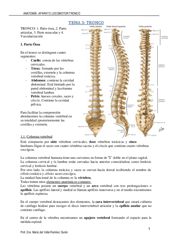 Miniatura del documento TRONCO-VALLE.pdf