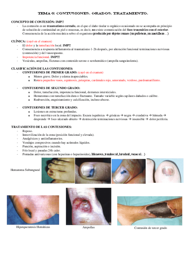 Miniatura del documento TEMA-6.pdf