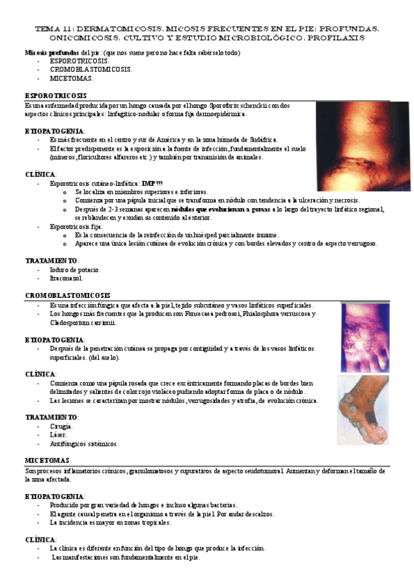 Miniatura del documento TEMA-11.pdf