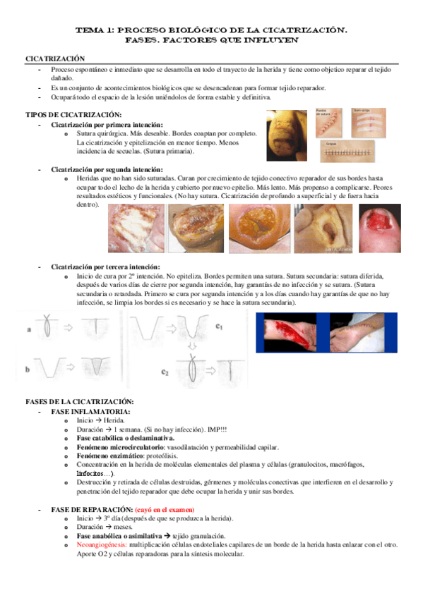 Miniatura del documento TEMA-1.pdf