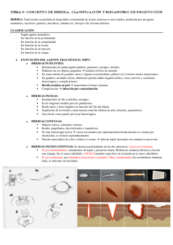 Miniatura del documento TEMA-2.pdf