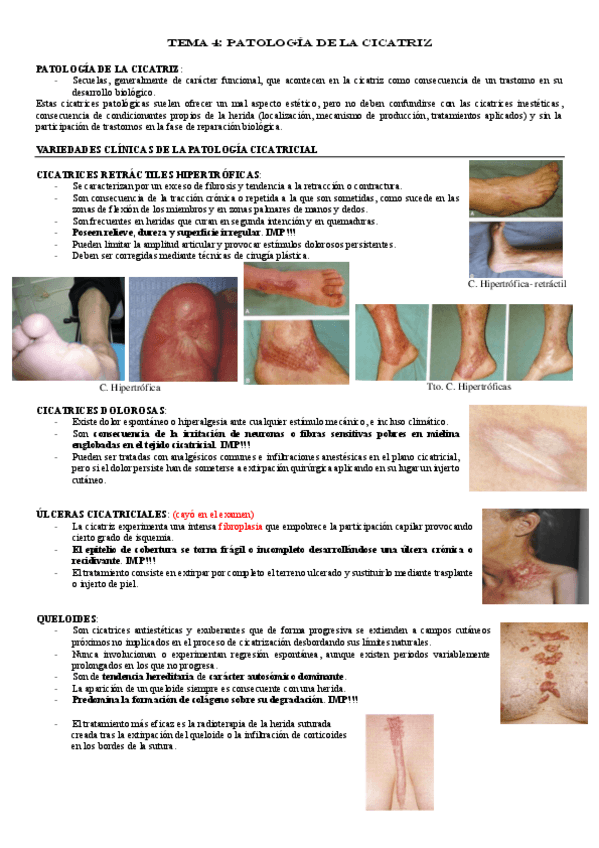 Miniatura del documento TEMA-4.pdf