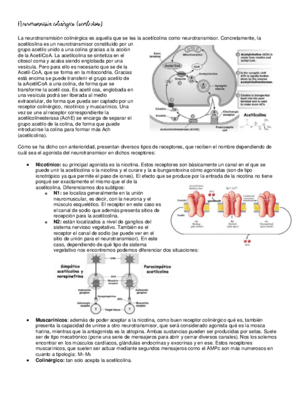Miniatura del documento final.pdf