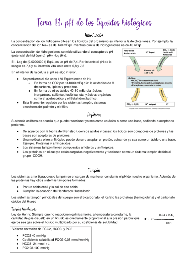 Miniatura del documento segundo-parcial.pdf
