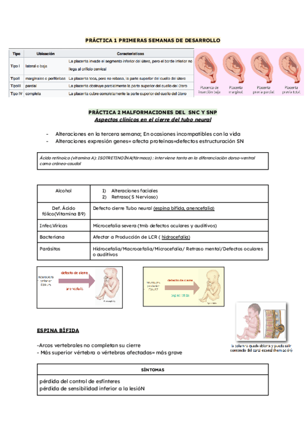 Miniatura del documento PATOLOGIAS-PRACTICAS-Y-SEMINARIOS.pdf