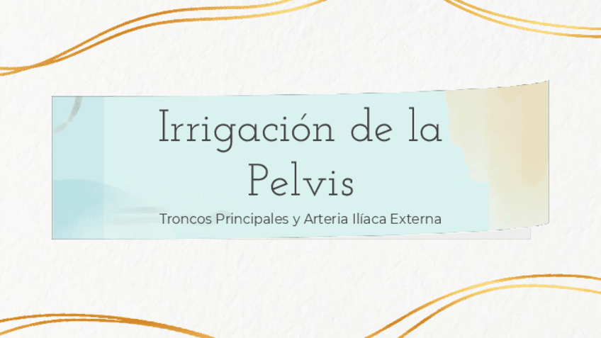 Miniatura del documento Irrigacion-de-la-Pelvis-Anatomia.pdf