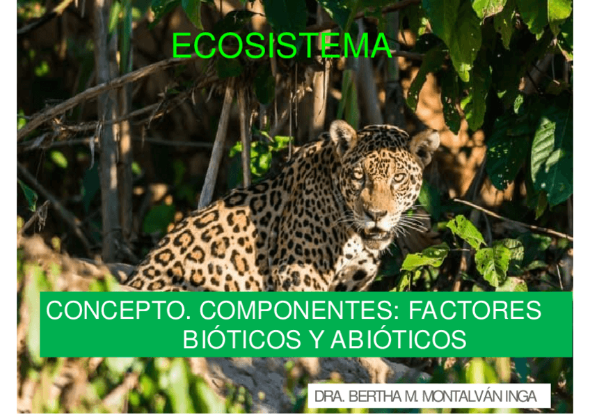 Miniatura del documento Ecosistema-FMH.pdf